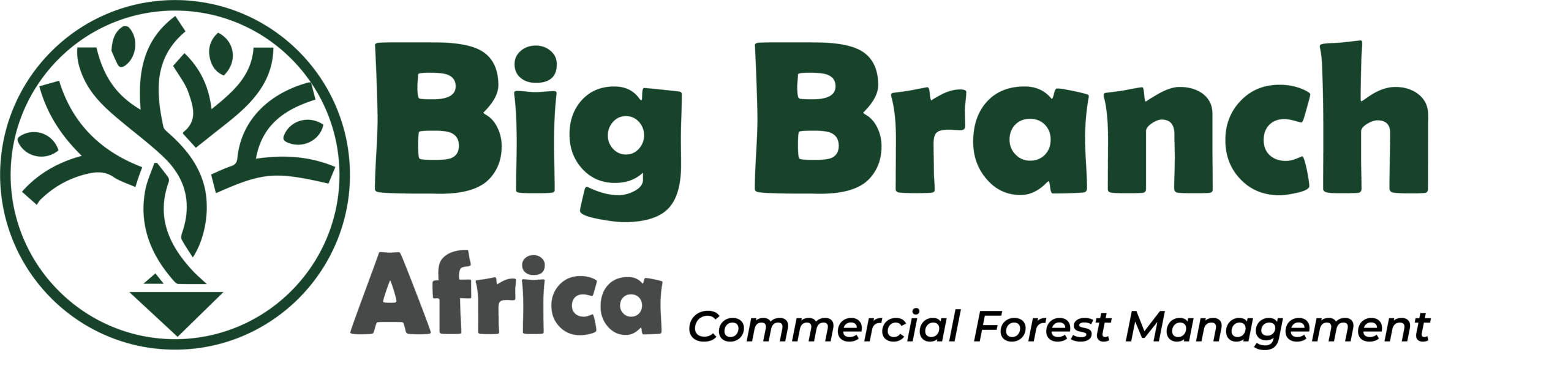 Big Branch Africa